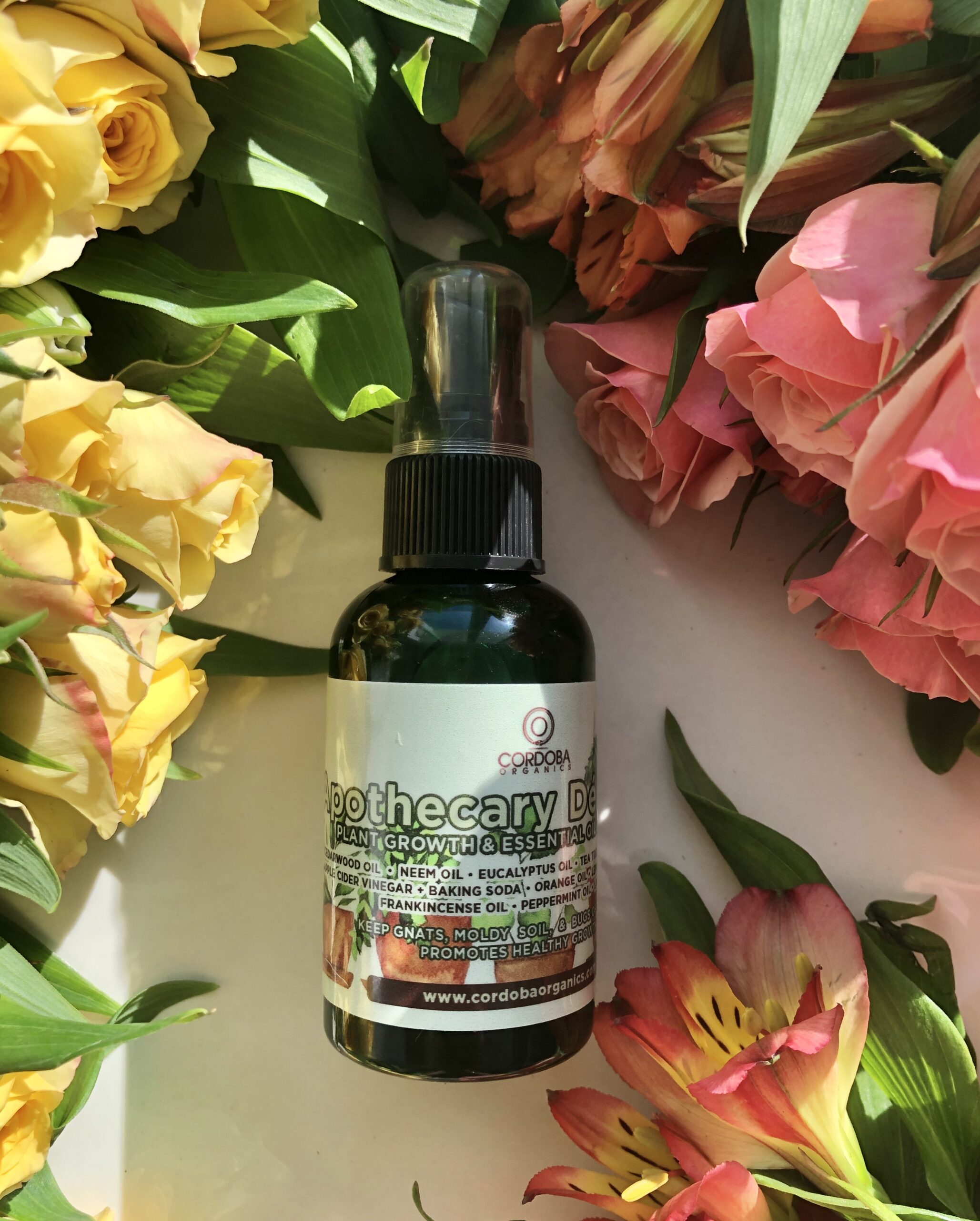 Gnats spray for plants online